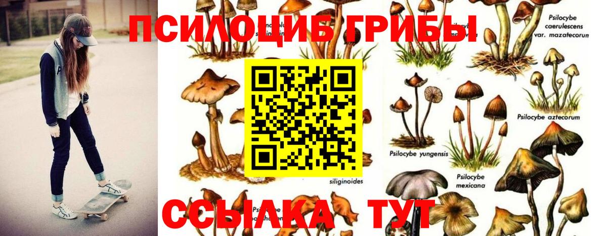 закладки  Галлюциногенные грибы прущие грибы  Вход с VPN  Чусовой  Псилоцибиновые грибы MAGIC MUSHROOMS 